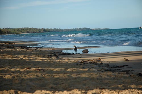 North Queensland - Mission Beach - Strand-Impressionen