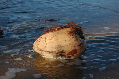 North Queensland - Mission Beach - Strand-Impressionen