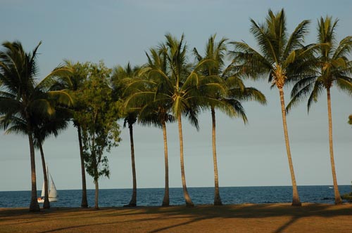 North Queensland - Port Douglas