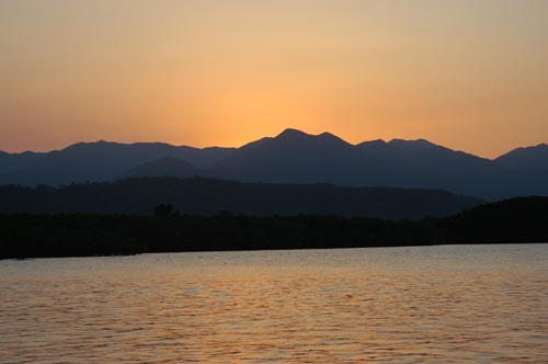 North Queensland - Port Douglas - Mangroven