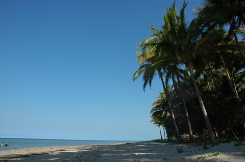 North Queensland - Port Douglas - Four Mile Beach