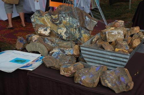 North Queensland - Port Douglas - Markt