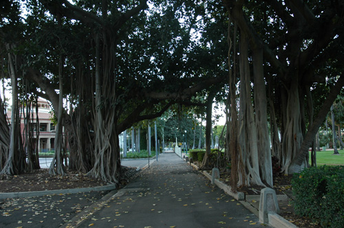 North Queensland - Townsville