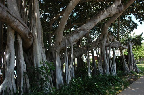 North Queensland - Townsville