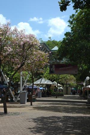 North Queensland - Townsville