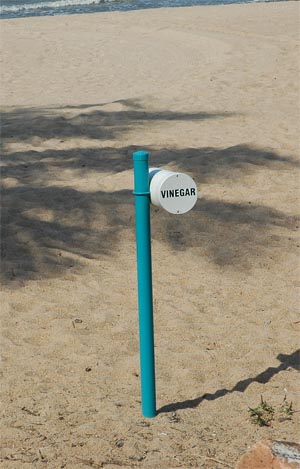 North Queensland - Townsville - Strand