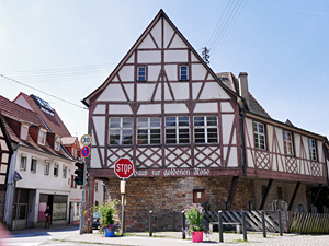 Schriesheim - "Goldene Rose"