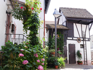 Schriesheim - Herrengasse