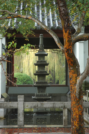 Sydney - Chinese Garden of Friendship
