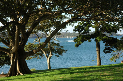 Sydey - Royal Botanic Gardens