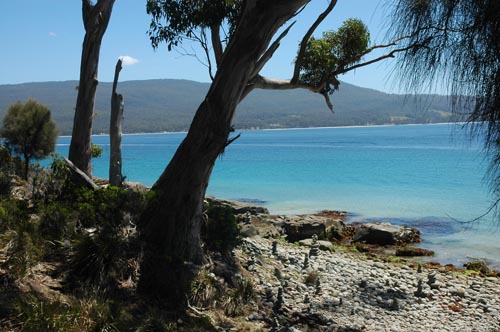 South Tasmania - Bruny Island