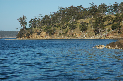 South Tasmania - Bruny Island - Castle Forbes Bay 