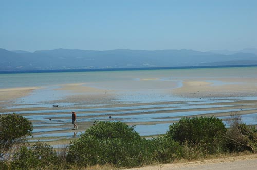 South Tasmania - Bruny Island