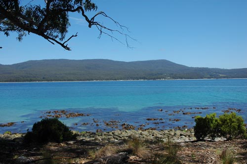 South Tasmania - Bruny Island
