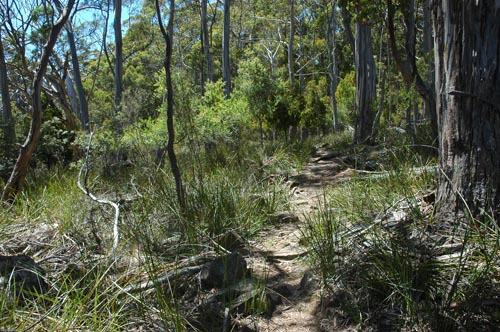 South Tasmania - Bruny Island