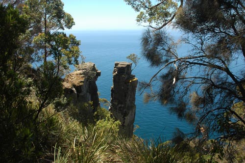 South Tasmania - Bruny Island