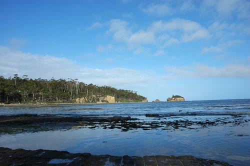 South Tasmania - Eaglehawk Neck -Tesselated Pavement