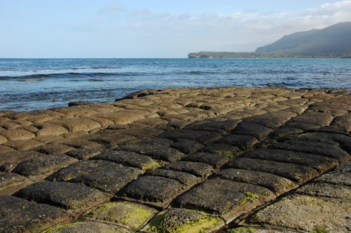South Tasmania - Eaglehawk Neck -Tesselated Pavement