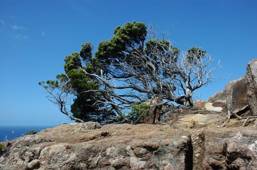 South Tasmania - Tasman Peninsula - Cape Hauy
