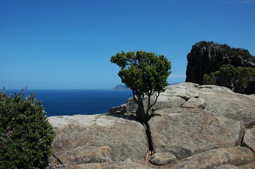South Tasmania - Tasman Peninsula - Cape Hauy