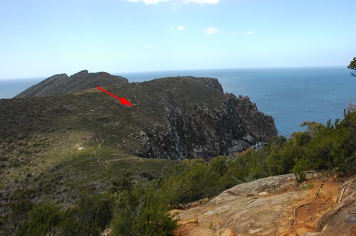 Tasman Peninsula - Fortescue Bay
