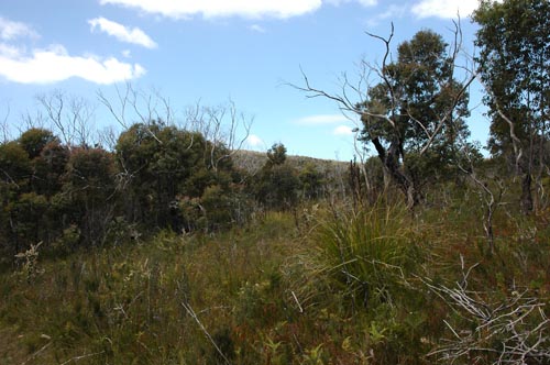 Tasman Peninsula - Fortescue Bay