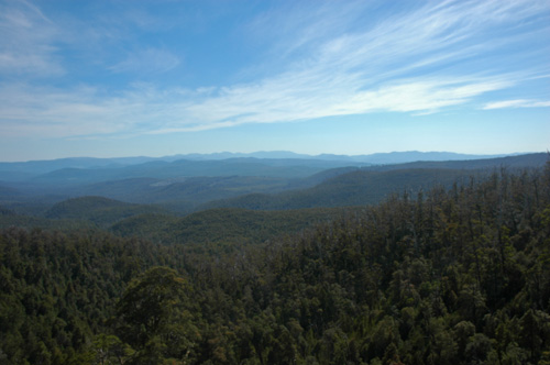 South Tasmania - Hartz National Park