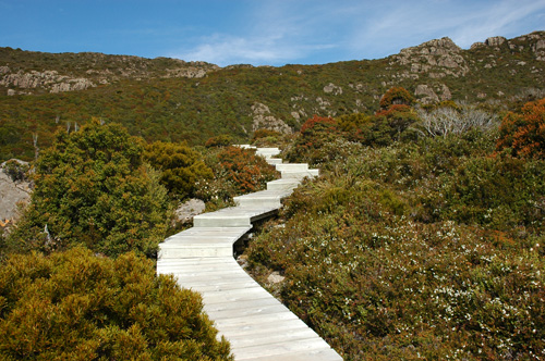 South Tasmania - Hartz National Park - Boardwalk