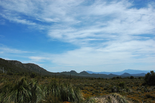 South Tasmania - Hartz National Park - Boardwalk