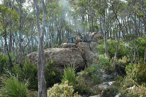 South Tasmania - Hartz National Park