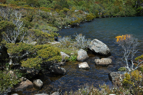 South Tasmania - Hartz National Park