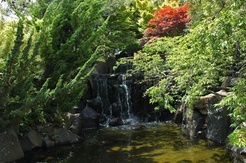 South Tasmania - Hobart - Botanischer Garten