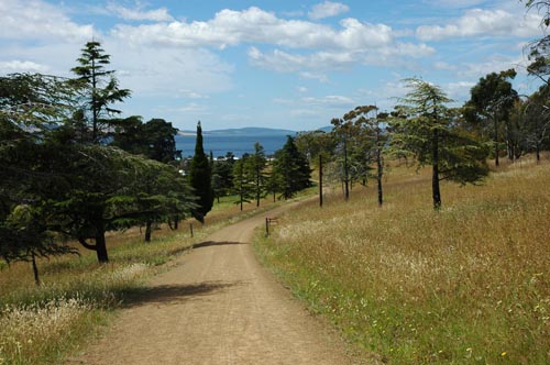 South Tasmania - Hobart - Botanischer Garten