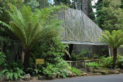 South Tasmania - Hobart - Botanischer Garten
