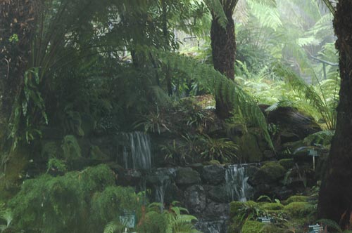 South Tasmania - Hobart - Botanischer Garten