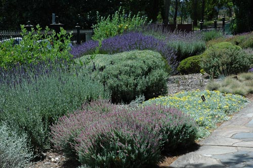 South Tasmania - Hobart - Botanischer Garten