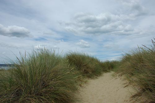 South Tasmania - Hobart 