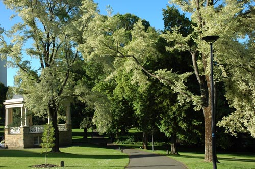 South Tasmania - Hobat - Impressionen