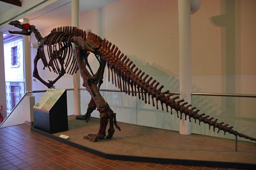 South Tasmania - Hobart - Museum