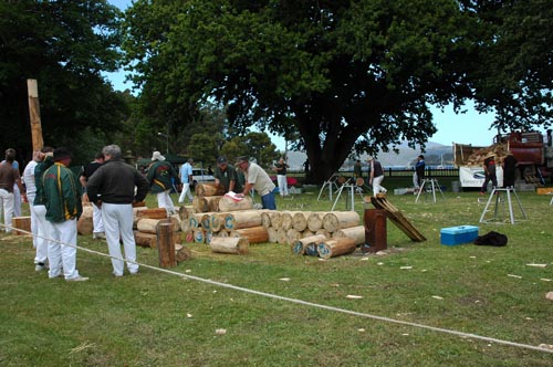 South Tasmania - Tasman Peninsula - Port Arthur -Wettbewerb