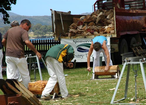 South Tasmania - Tasman Peninsula - Port Arthur -Wettbewerb