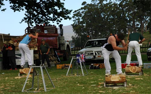 South Tasmania - Tasman Peninsula - Port Arthur -Wettbewerb