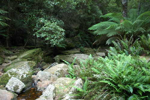 South Tasmania - Snug Falls