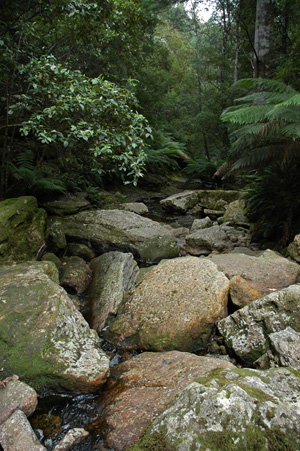 South Tasmania - Snug Falls