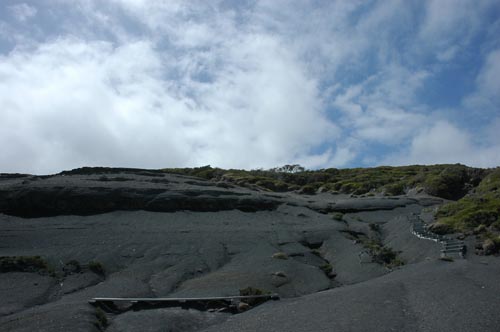 South Tasmania - Bushwalk Southwest Cape 