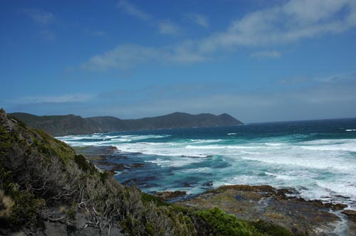 South Tasmania - Bushwalk Southwest Cape 