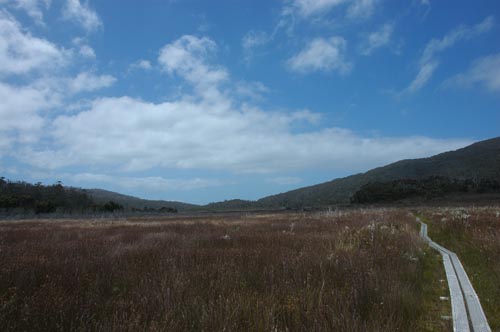 South Tasmania - Bushwalk zum Sothwest Cape