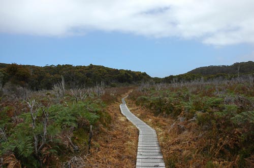 South Tasmania - Bushwalk zum Southwest Cape