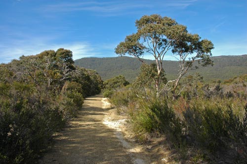 South Tasmania - Tasman Peninsula - Waterfall Bay