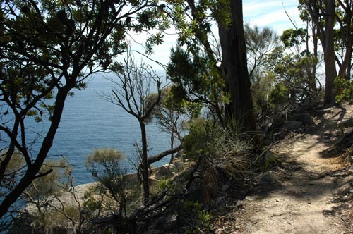 South Tasmania - Tasman Peninsula - Waterfall Bluff
